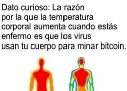 Enlace a ¿Lo sabías?