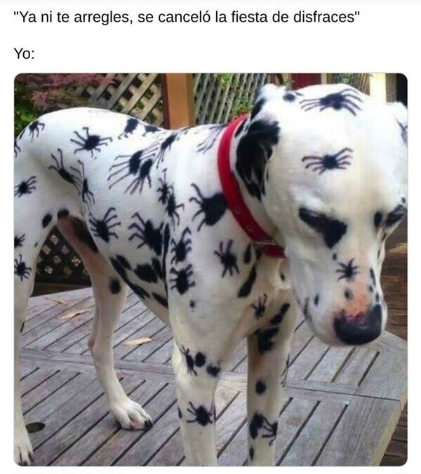 Meme_otros - La idea era buena