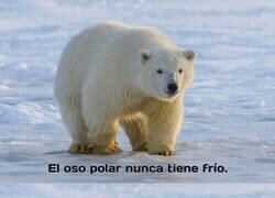 Enlace a Qué curiOSO