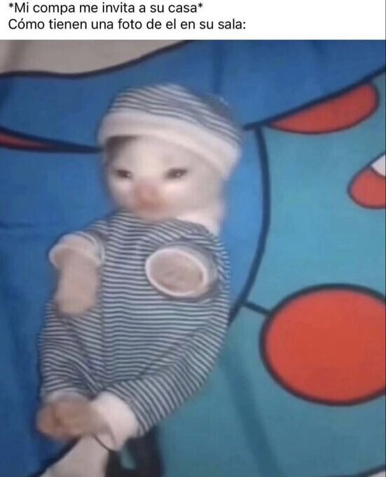 Meme_otros - Su momento más adorable