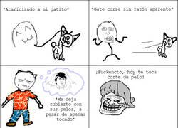 Enlace a Venganza peluda