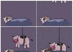 Enlace a Ahora ya lo sabes