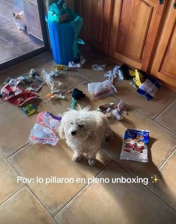 CC_2827467_a0a7520f694d4e58bfde063e385c497e_meme_otros_unboxing_interrumpido.jpg