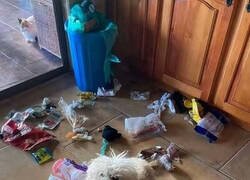 Enlace a Unboxing interrumpido