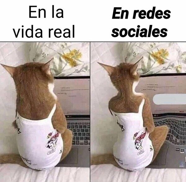 Meme_otros - Todo está editado