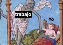 Enlace a Yo todas las mañanas