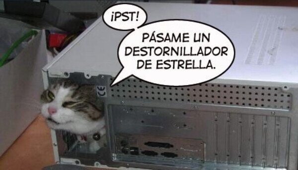 CC_2827527_016d44c5cdf94c7198b97d36daecb476_otros_el_misifu_me_esta_reparando_el_pc.jpg