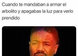 Enlace a La mejor parte de armar el árbol