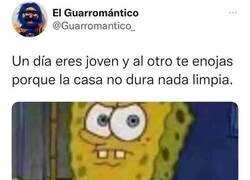 Enlace a Me siento viejo ahora con esto