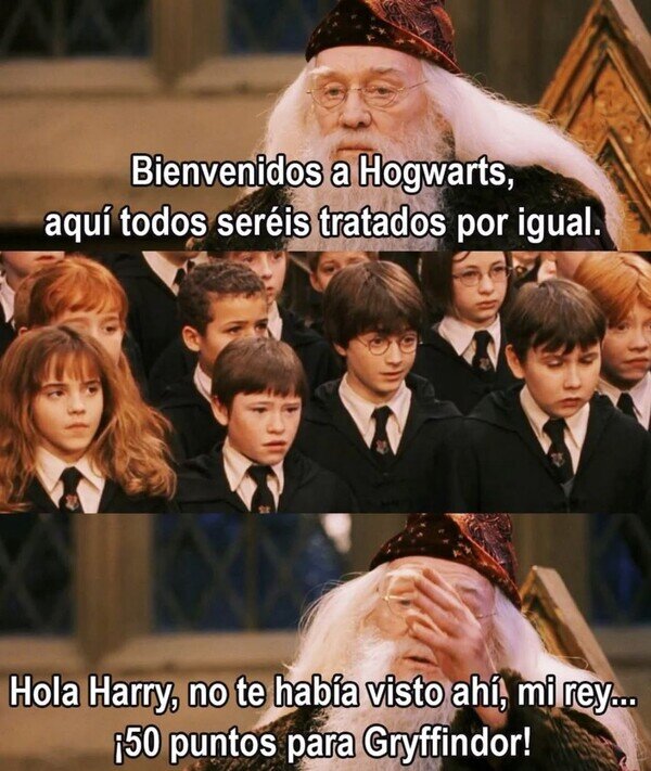 hogwarts,puntos,trato,igualdad,gryffindor