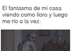 Enlace a Hasta el tiene miedo de mi