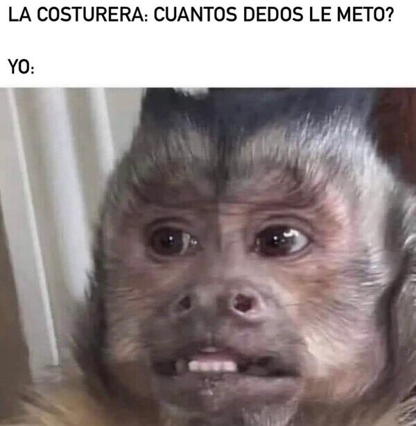 Meme_otros - Espera, ¡¿QUÉ?!