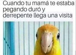 Enlace a Aquí no ha pasado nada...