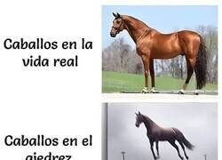 Enlace a Los caballos sacan su poder oculto