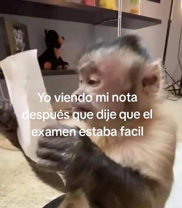 Meme_otros - Pues no estaba tan fácil como creía