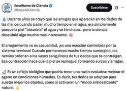 Enlace a Las arrugas que te salen en los dedos cuando pasas mucho tiempo en el agua