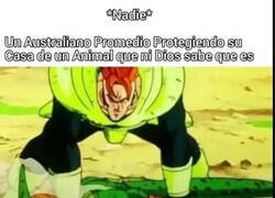 Enlace a Allí cualquier cosa puede intentar matarte