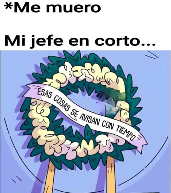 Meme_otros - La corona de flores de mi jefe