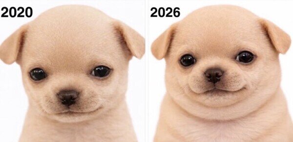 evoluci&oacute;n,perro,papada