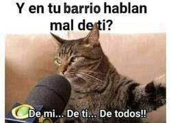 Enlace a En el barrio se habla mal de todo el mundo