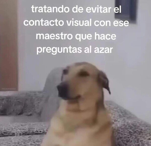 Meme_otros - No lo mires, no lo mires, no lo mires