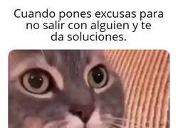 Enlace a No me dejan quedarme en casa