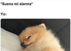 Enlace a ¡Cállense ya maldita sea, dejen dormir al prójimo!