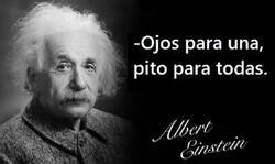 Enlace a Frases que Albert Einstein nunca dijo