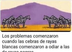 Enlace a Un reflejo de la sociedad actual