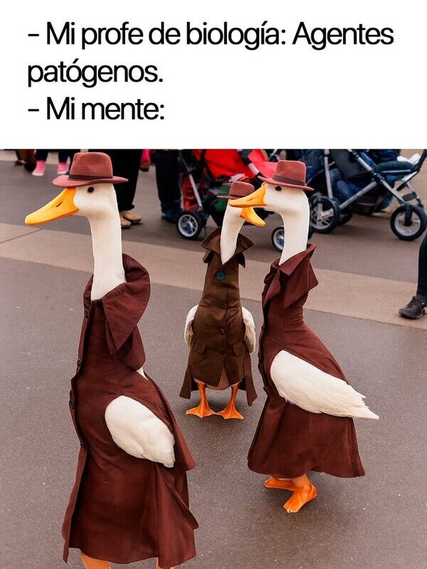 Meme_otros - Agentes patógenos