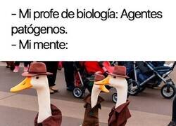 Enlace a Agentes patógenos