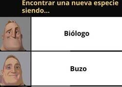 Enlace a Encontrando una nuevo especie