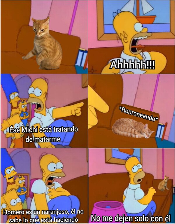 Otros - Los naranjosos traman algo