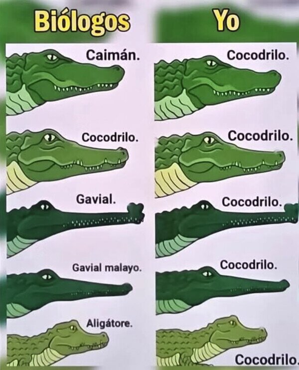 Meme_otros - Nunca supe diferenciarlos