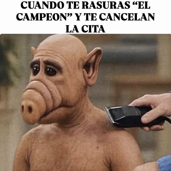 Meme_otros - Alf... inal nada