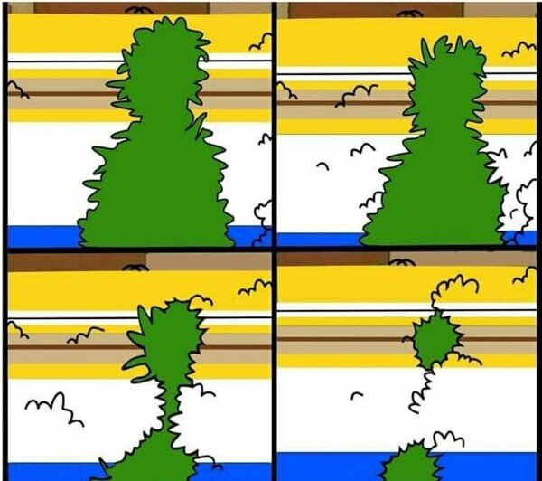 Meme_otros - Los setos (en un mundo paralelo)