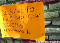 Enlace a Varios atentados contra el diccionario