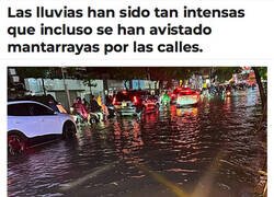 Enlace a Fenómenos paranormales