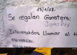 Enlace a Se regalan Gangsters