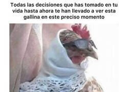 Enlace a Llegaste hasta aquí