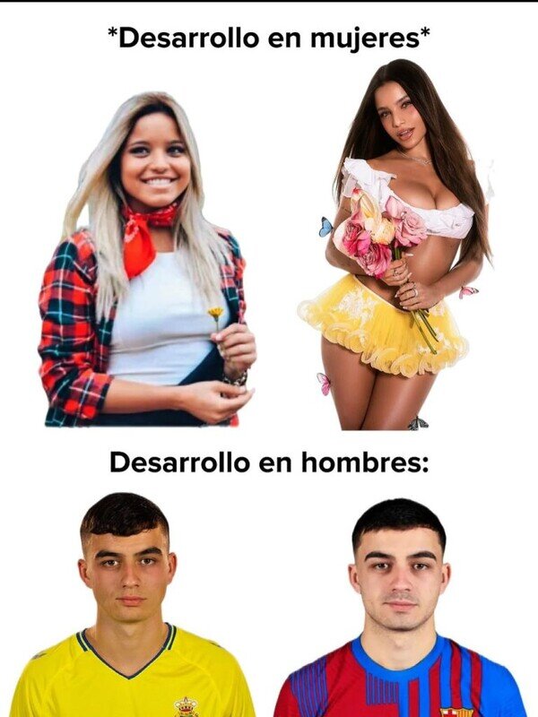 Otros - Etapa de desarrollo