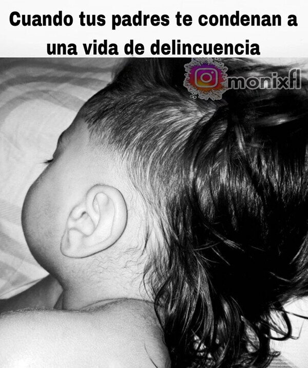 Meme_otros - Ha tenido usted a un delincuente