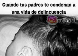 Enlace a Ha tenido usted a un delincuente