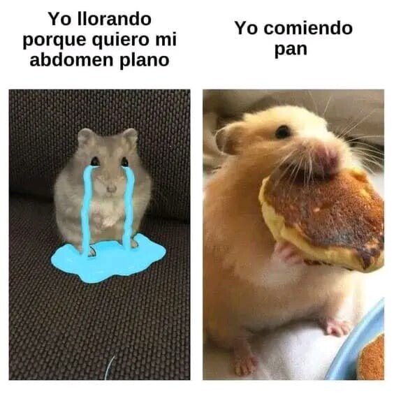 Meme_otros - Me contradigo yo mismo