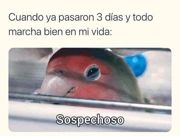 Meme_otros - Se aproxima una ola de problemas