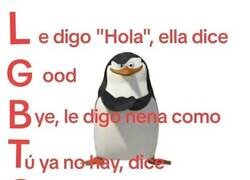 Enlace a El verdadero significado de LGBTQ