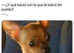 Enlace a No sé como les puede sobrar el sueldo