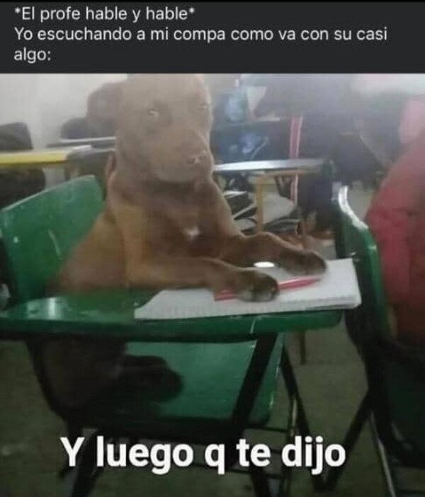 Meme_otros - Es más interesante la posible novia de mi compa