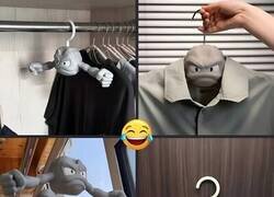 Enlace a Necesito estas perchas