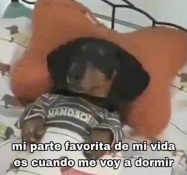 Meme_otros - Es triste, pero al mismo tiempo me hace feliz